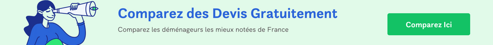 Devis déménagement pas cher